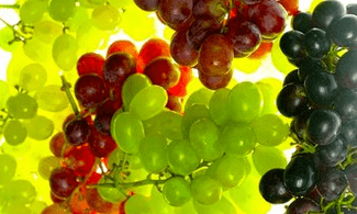 Corrección nutricional para varices